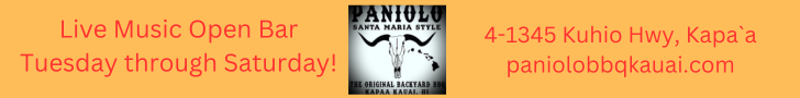 https://paniolobbqkauai.com/