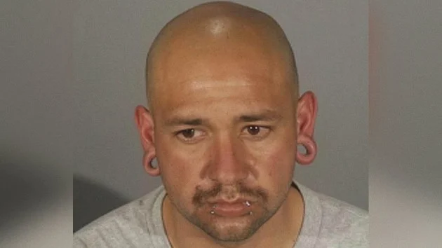 Suspect booked on attempted murder for allegedly shooting driver in LA car plowing: Police