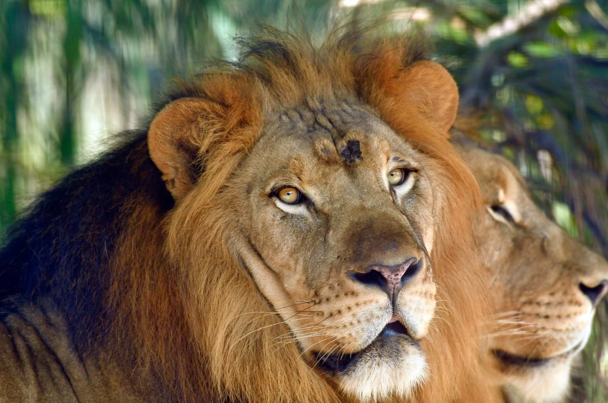 This ’80s Song Is Having Yet Another Comeback